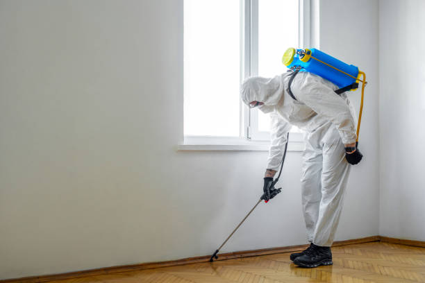 Best Termite Inspection and Treatment  in Wamac, IN